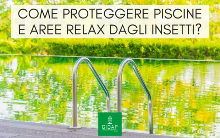 Come proteggere piscine e aree relax da insetti in estate