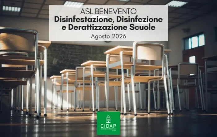 Disinfestazione, disinfezione e deratizzazione scuole Benevento agosto 2026