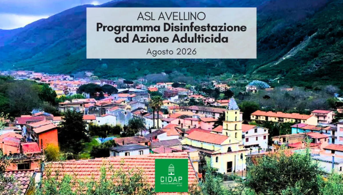 Provincia Avellino, programma di disinfestazione ad azione adulticida agosto 2026