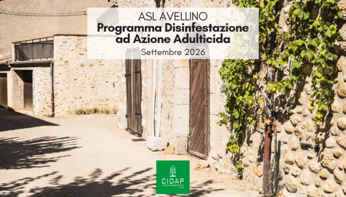 Provincia Avellino, programma di disinfestazione ad azione adulticida settembre 2026