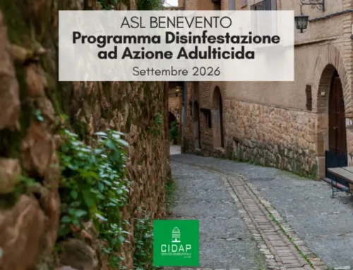 Provincia Benevento, programma di disinfestazione ad azione adulticida settembre 2026