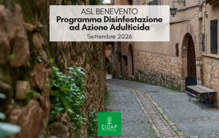 Provincia Benevento, programma di disinfestazione ad azione adulticida settembre 2026