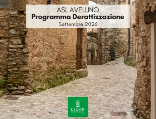 Programma derattizzazione ASL Avellino settembre 2026