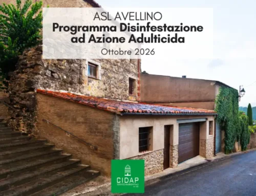 Provincia Avellino, programma di disinfestazione ad azione adulticida ottobre 2026