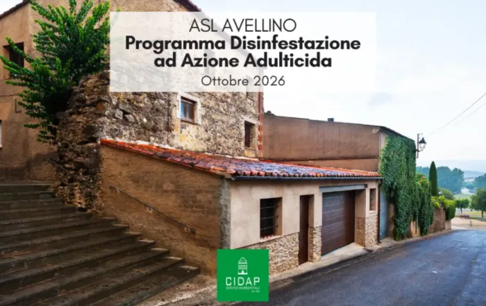 Provincia Avellino, programma di disinfestazione ad azione adulticida ottobre 2026