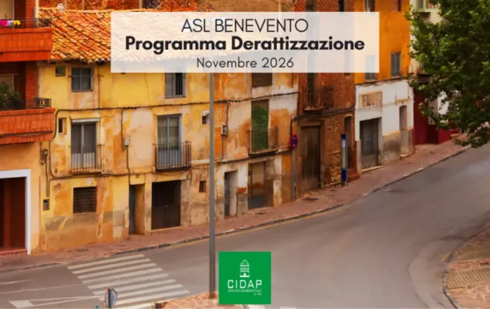 Programma derattizzazione ASL Benevento novembre 2026